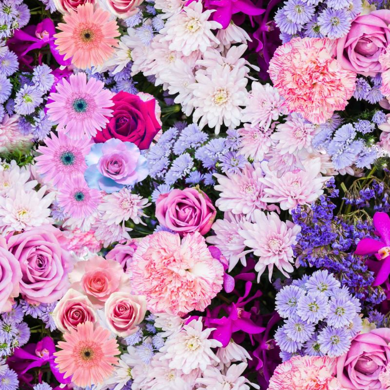 Fialovo-růžové květy - digitální tisk mavaga design