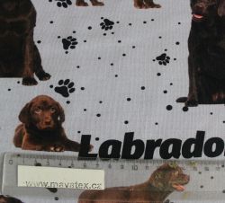 Jednolícní úplet labrador na ŠEDÉ -220 gsm EU-úplety atest pro děti