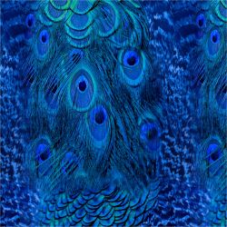 Paví peří do modra -sublimační digitální tisk mavaga design