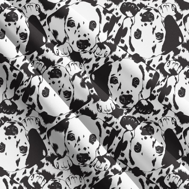 Dalmatin na bílé-sublimační digitální tisk mavaga design