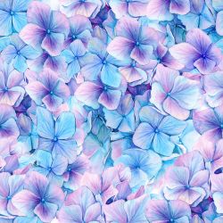 Modro-fialové hortenzie -materiálové varianty