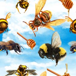 Včely na NEBI-sublimační digitální tisk