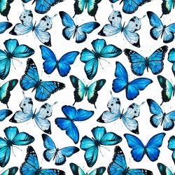 Modrý motýlek na bílé- digitální tisk