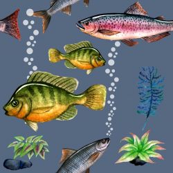 Ryby na šedém pozadí- sublimační digitální tisk