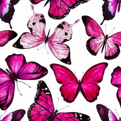 Růžový motýlek na bílé- digitální tisk