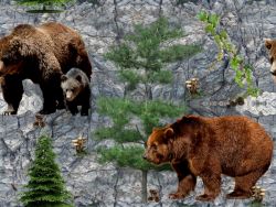 Medvědi v lese-sublimační digitální tisk