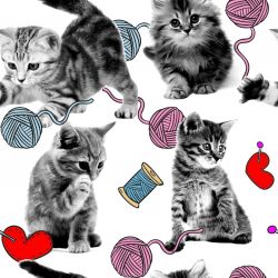 Kočičky s klubíčky -digitální tisk