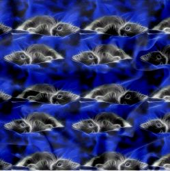 Kočičky na sametu -digitální tisk mavaga design