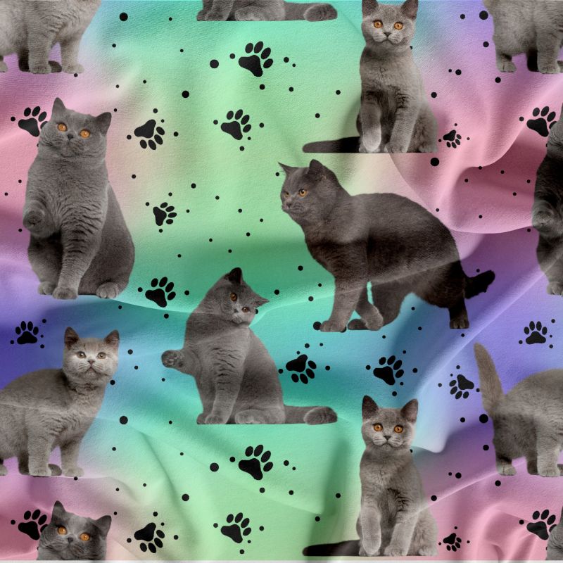 Kočka britka šedá na duze- digitální tisk mavaga design