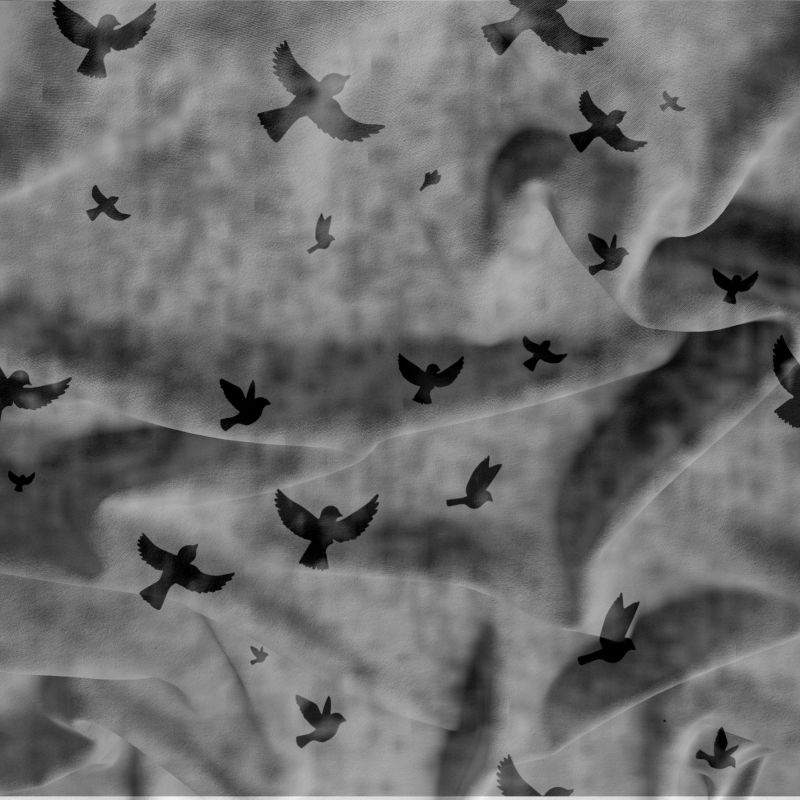 Ptáčkové šedá- digitální tisk mavaga design