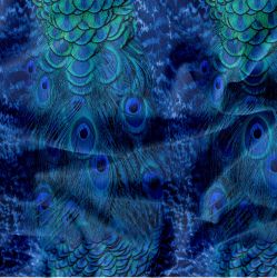 Paví peří do modra -sublimační digitální tisk mavaga design