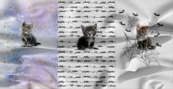 Koťátka 3PANEL–materiálové varianty!! mavaga design
