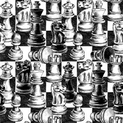 Šachy- materiálové varianty  