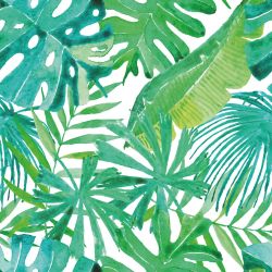 Tropické listy akvarel-materiálové varianty  