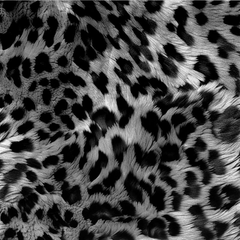 Kožešina leopard šedá- materiálové varianty mavaga design