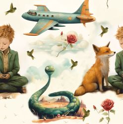 Malý princ a letadlo- materiálové varianty