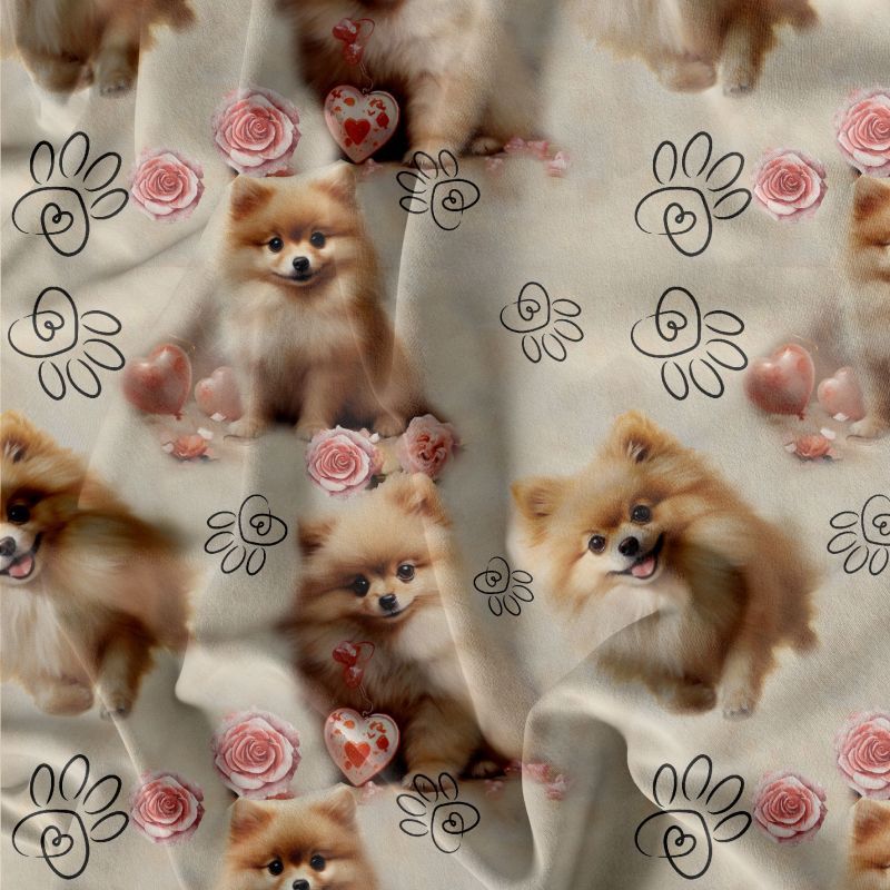 Pomeranian teplákovina, Pomeranian kočárkovina, Pomeranian softchel mavaga design