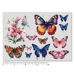 Levné nažehlovací obrázky motýli